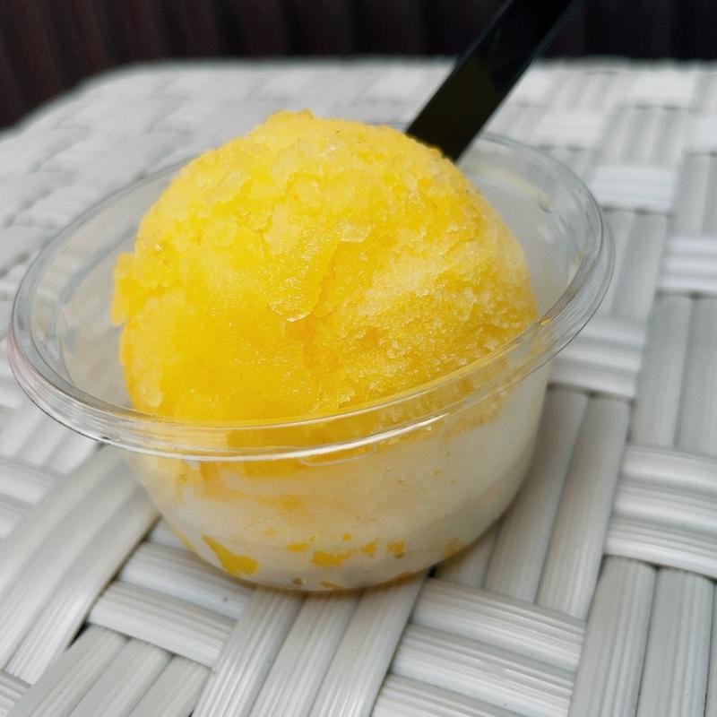 フルーツシャーベット(オランジェットと焼菓子専門店 カンキツ屋)