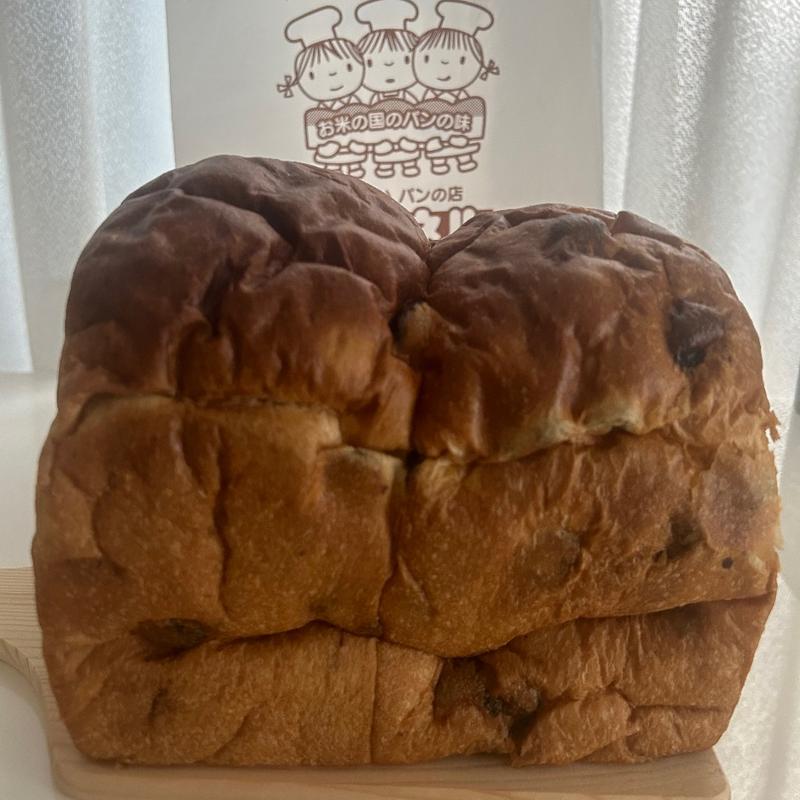 レーズン食(大)(パンネル グランデ中山寺)