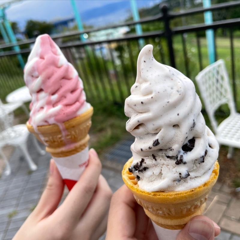 ストロベリー＆バニラ、チョコクッキー＆バニラ(ビューレストラン)