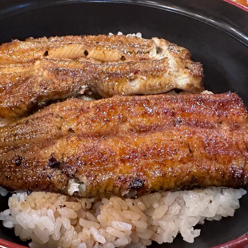 うな丼(うなぎ 清泉)