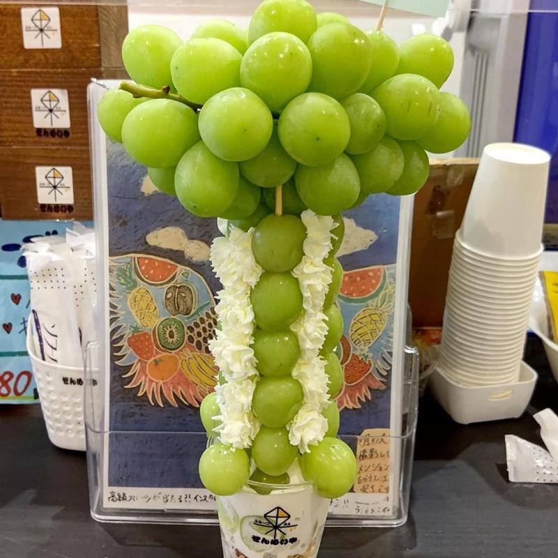 シャインツリー(ぜんめいや)