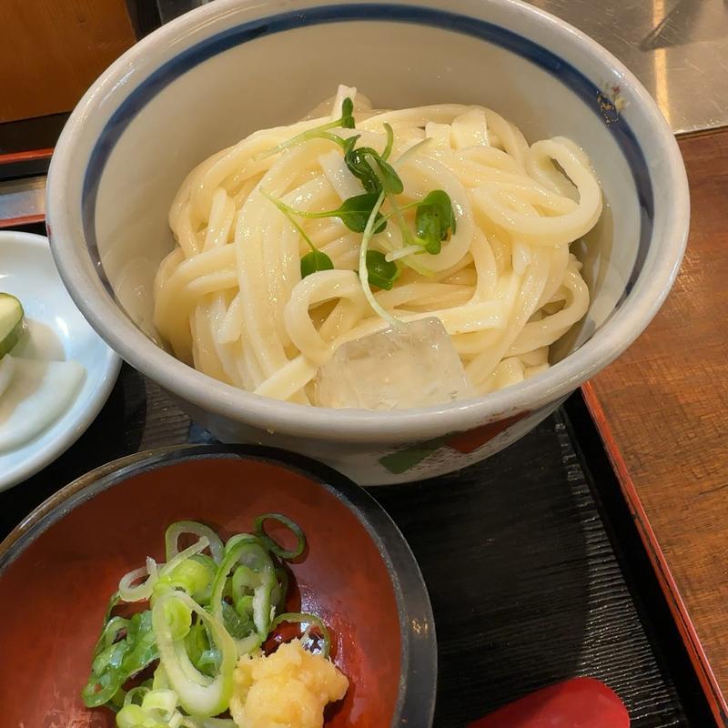 冷やしうどん(守家庵 （もりやん）)