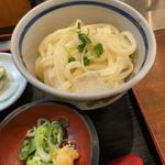 冷やしうどん(守家庵 （もりやん）)