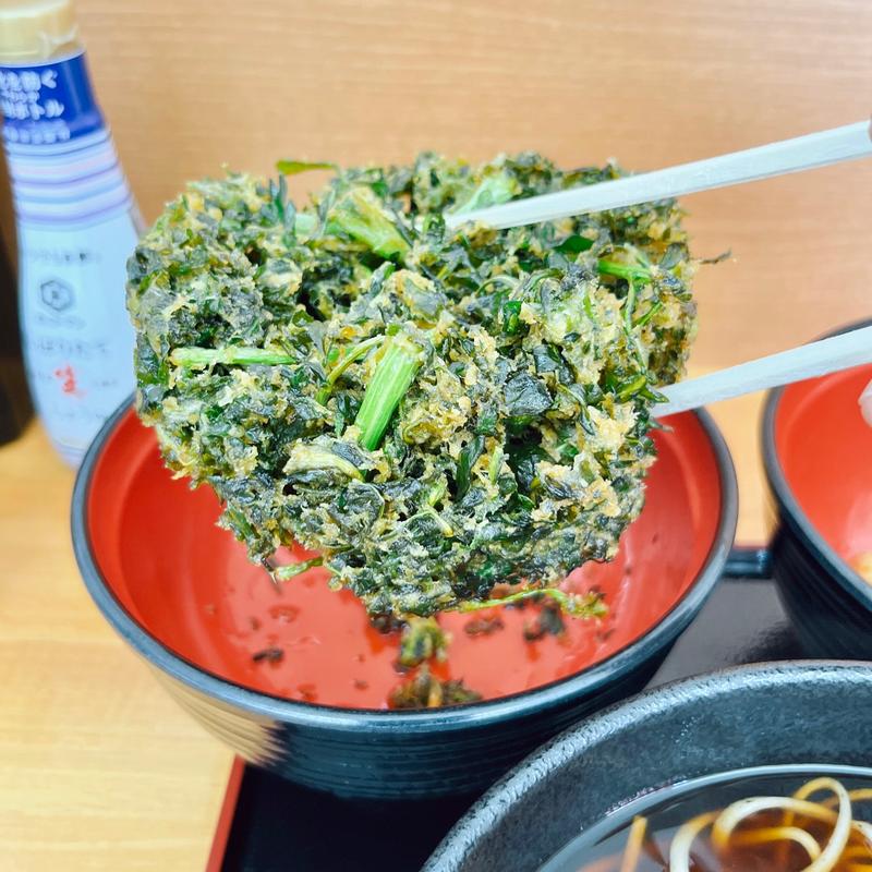 春菊天(あかまつ)