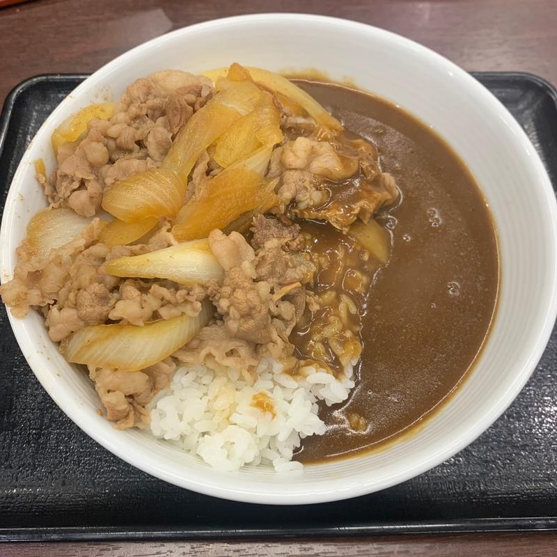 肉だく牛スパイシーカレー(大盛)(吉野家 北新宿百人町店)