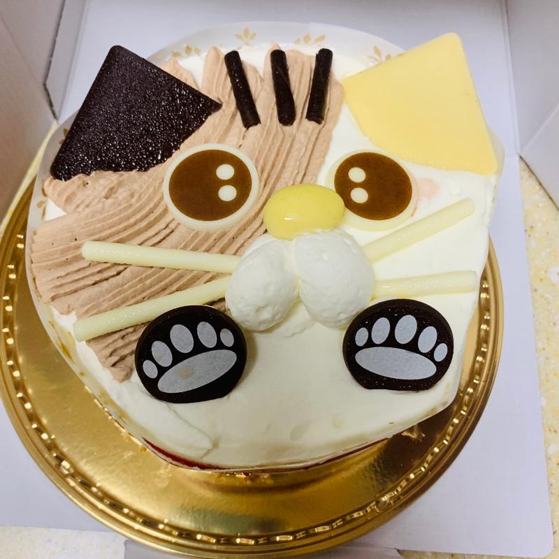 	かわいいねこちゃんデコレーション14cm(シャトレーゼ 天王寺東上町店)