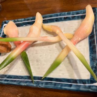 谷中しょうが(のんき 赤羽店 （もつやき のんき）)