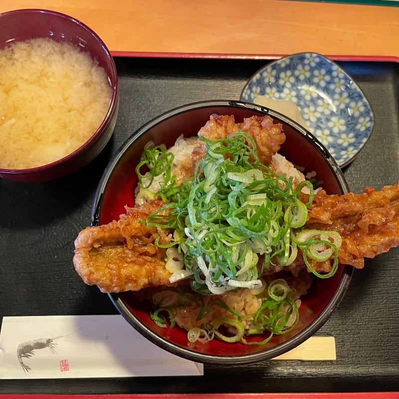 穴子丼(イルカ)