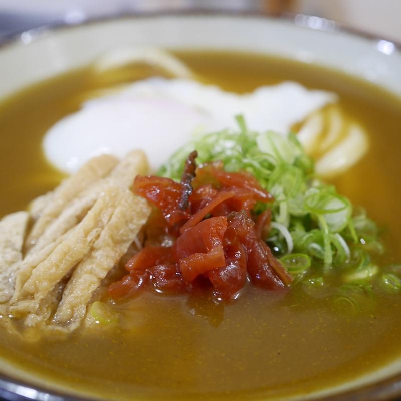冷やしカレーうどん(手打ちうどん　まる泉)