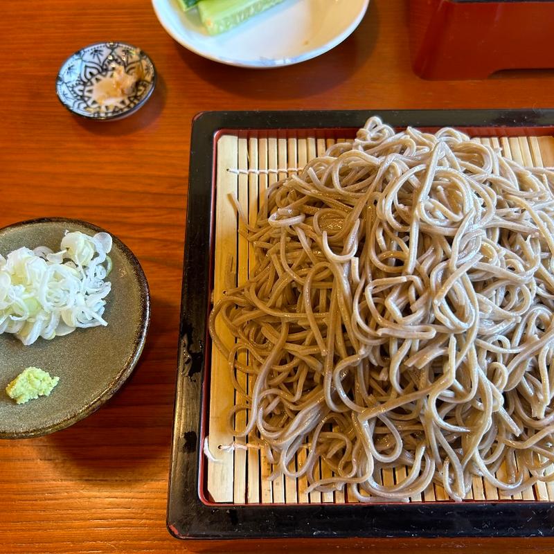 大もりそば(そば処 おっこと亭)