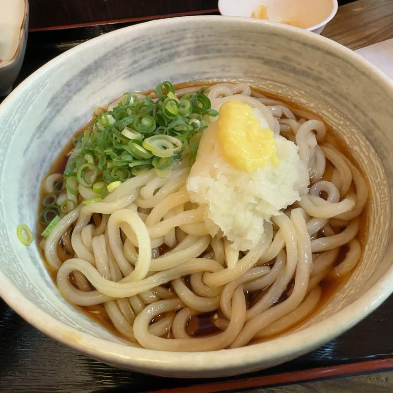 冷やしうどん(自家製麺　うどん日和 )
