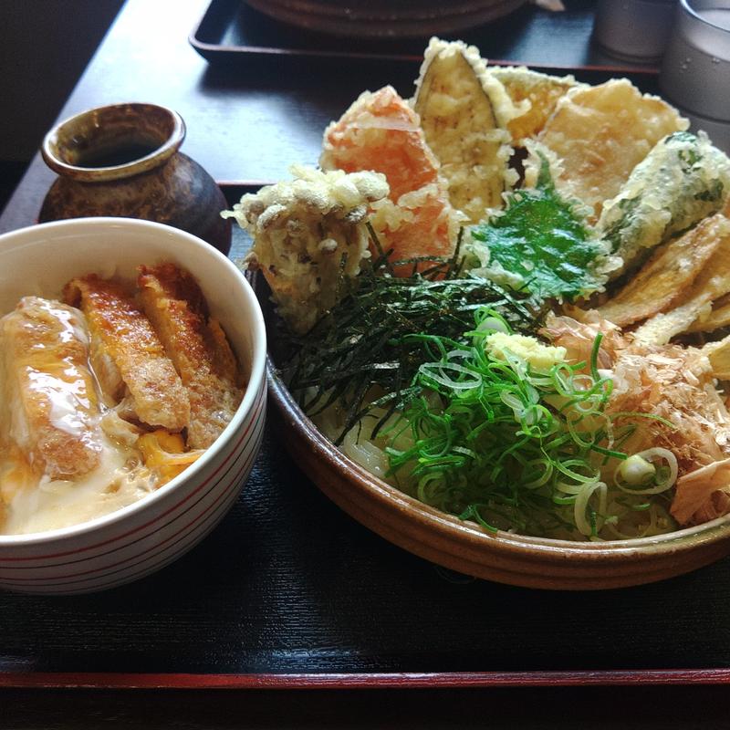 野菜天ぶっかけ(大地のうどん 本店)