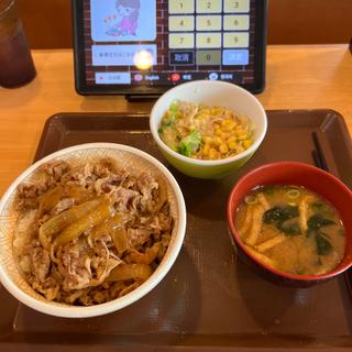 牛丼大盛サラダセット(すき家 八潮西袋店)