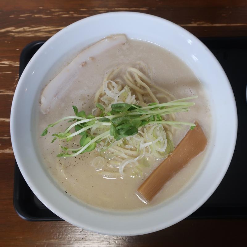 泥濃鶏白湯(塩)(麺屋鳥見本)