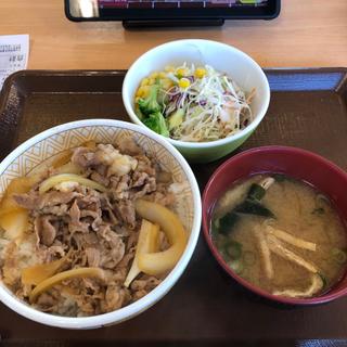 牛丼ランチセット(すき家 足利南大町店)
