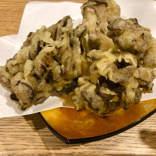 黒松茸の天ぷら(STAND KIYOSUGU 中目黒店)