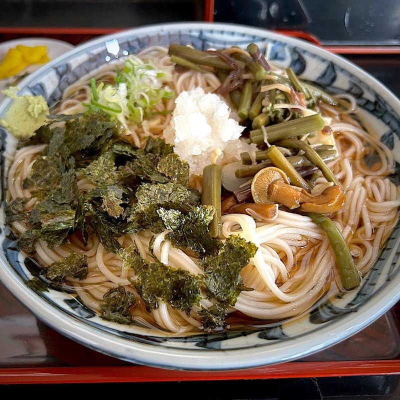 山菜おろしそば（冷）(永楽庵 本店 （えいらくあんほんてん）)