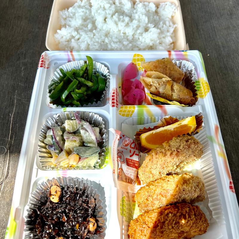 日替わり弁当(田原やま里弁当)