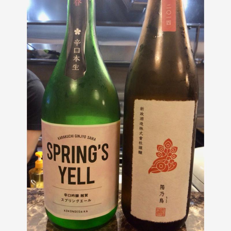 スプリングエール、陽乃鳥(きねこ )