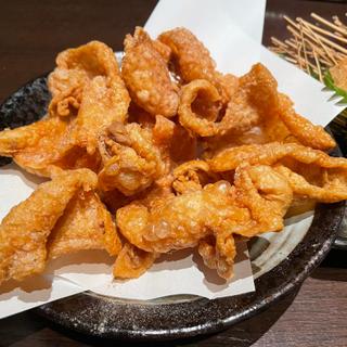 (鶫 （ツグミ）)