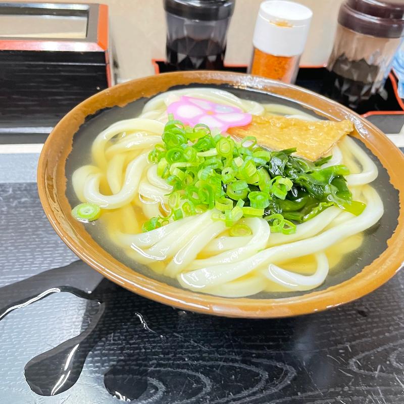 かけうどん冷(滝音 （たきね）)