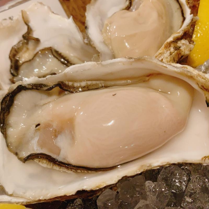 仙鳳趾 (マリスコ （Marisco）)