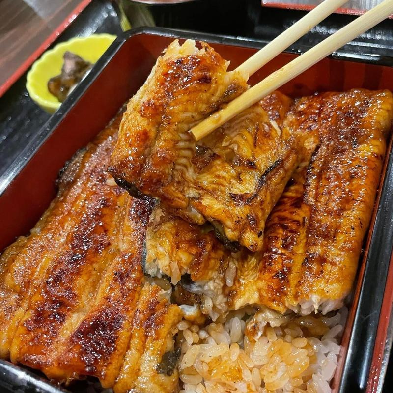 うな重 上 大富士(虎ノ門 うなぎのお宿)