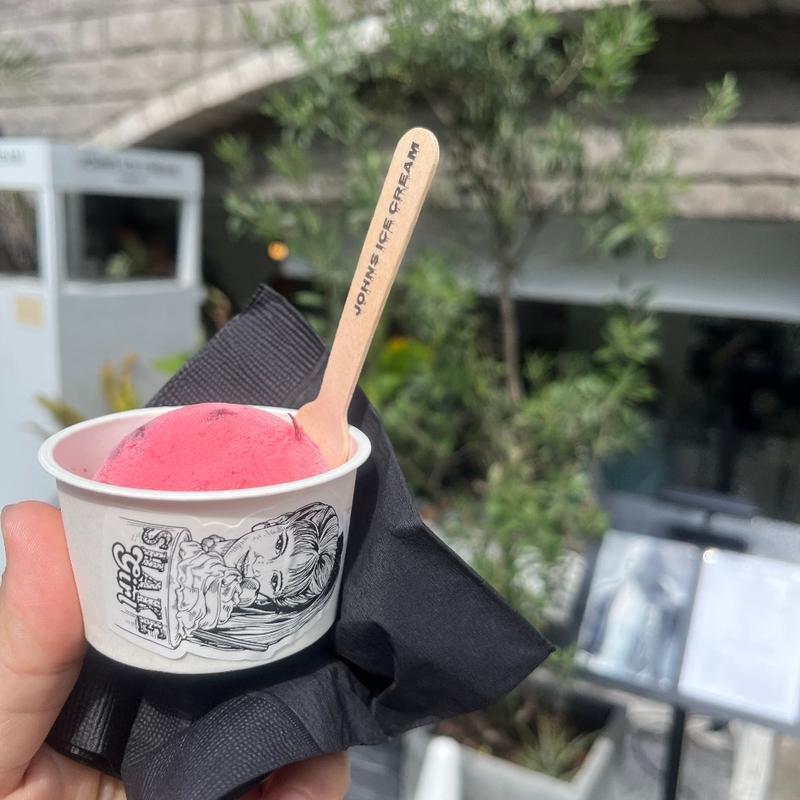 (JOHN’S ICE CREAM)