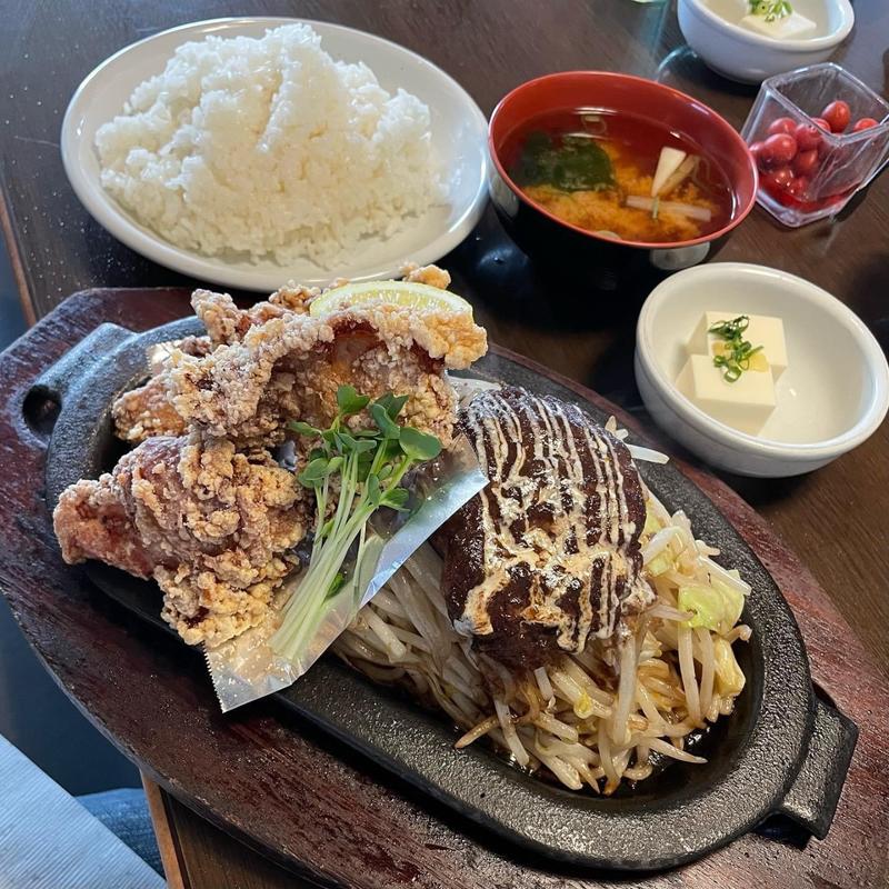 唐揚げとハンバーグ(ナッツ・ベリー)
