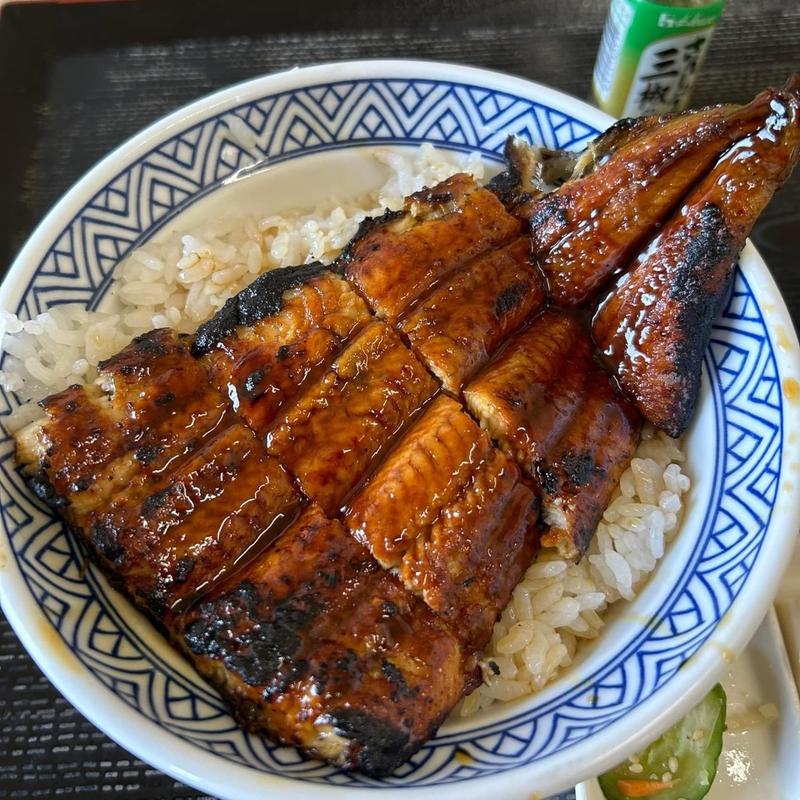 うなぎ丼(日光橋食堂 )
