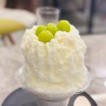 (MERCURY ﾏｰｷｭﾘｰ 福山店)