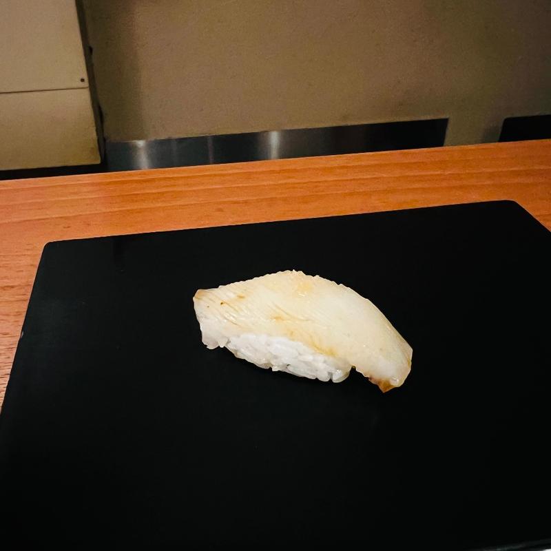 アオリイカ(かい原)