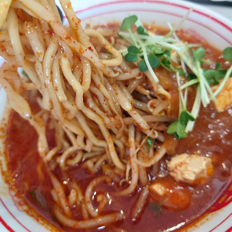 北極の火山(蒙古タンメン中本 草加)