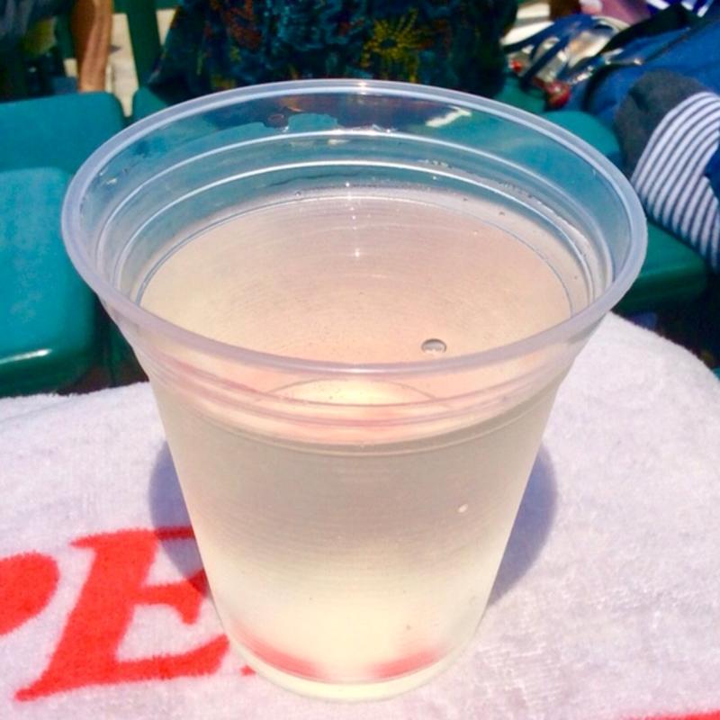 日本盛 生原酒(阪神甲子園球場)