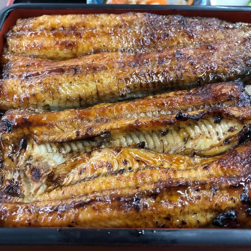 特上鰻重(印旛沼漁協 水産センター)