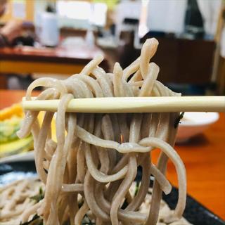 天ぷらザルそば(蕎麦一)