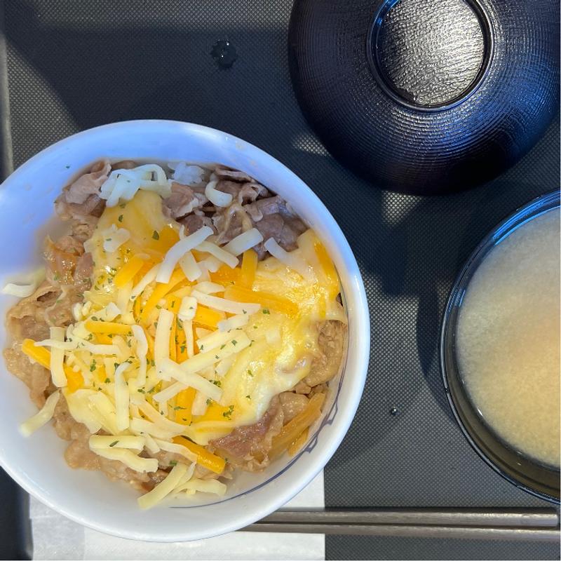チーズ牛丼(松屋 長岡店（松のや併設）)