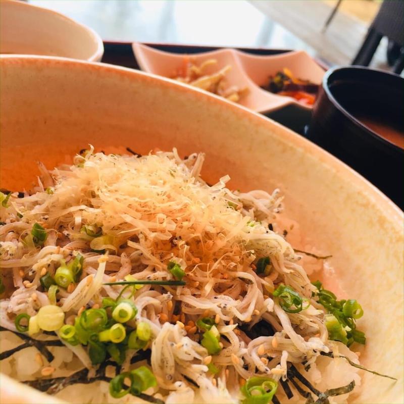 しらす丼(道の駅　なんごう )