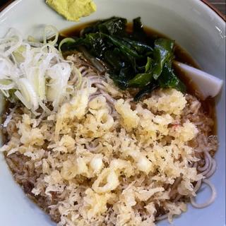 冷やしたぬきそば(そばうどん 文殊 浅草店)