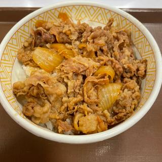 牛丼(すき家 8号高岡北島店 )