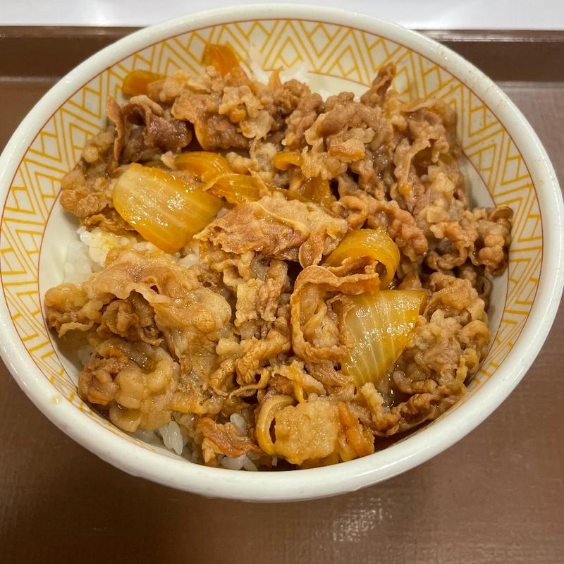 牛丼(すき家 8号高岡北島店 )