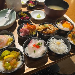 8種おちょこの丼(TOKYO FISHERMAN'S WHARF 魚秀 渋谷店)