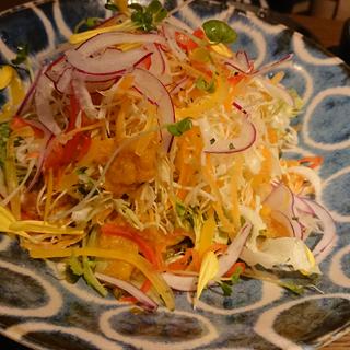 5種類の野菜の身体健康サラダ(沖縄ダイニング琉歌 上野本館)