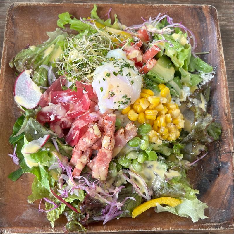 サラダ丼(Link－cafe )
