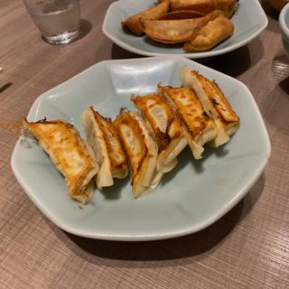 焼き餃子(宇都宮みんみん ホテルメッツ店)
