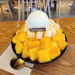 アップルマンゴーチーズソルビン