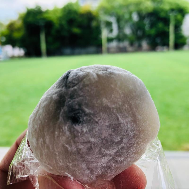 塩豆大福(彦一だんご 天文館店)