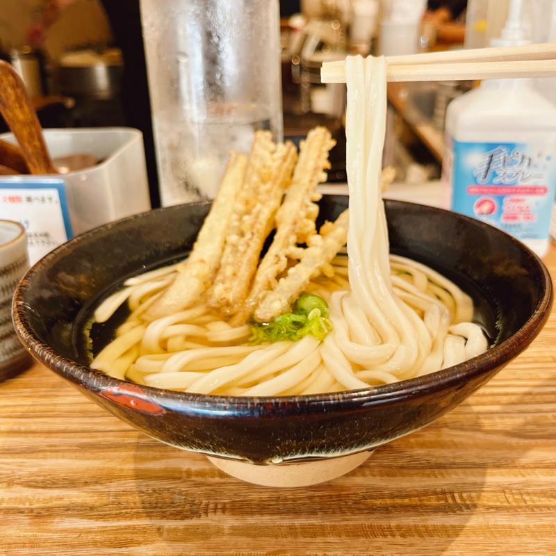 ごぼう天うどん（冷）(筑後うどん まがり)