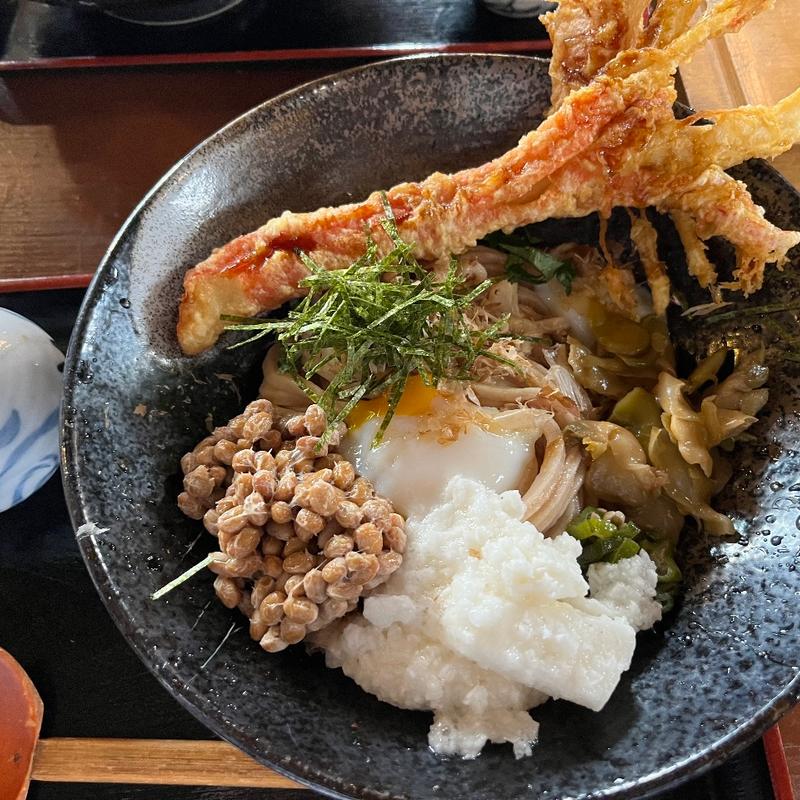 (名水うどん 野々傘)