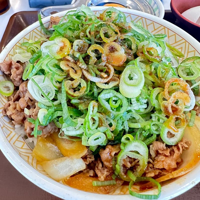 ねぎ玉牛丼(すき家 寒川宮山店)